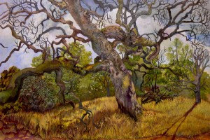 Morgan Road Tree, by Lori Hanson